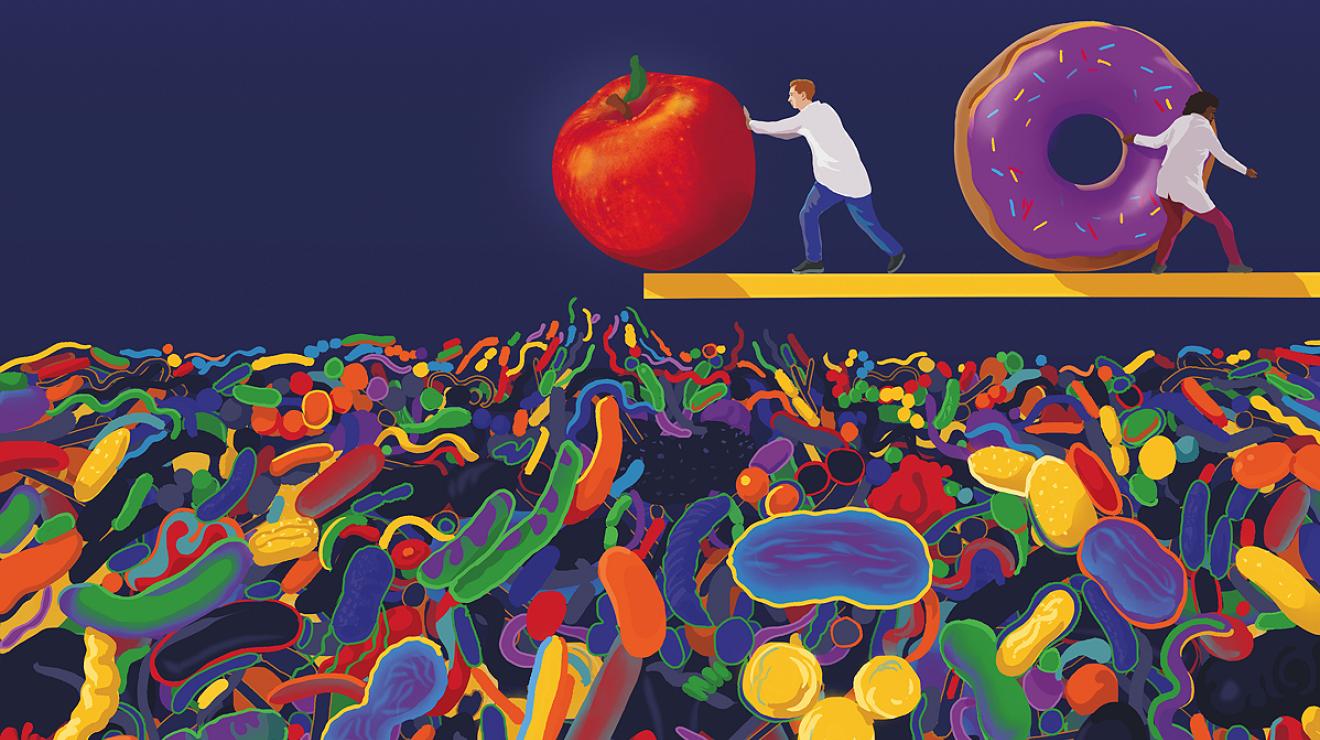 HM_ND23_Carmody_illustrationjpg.jpg