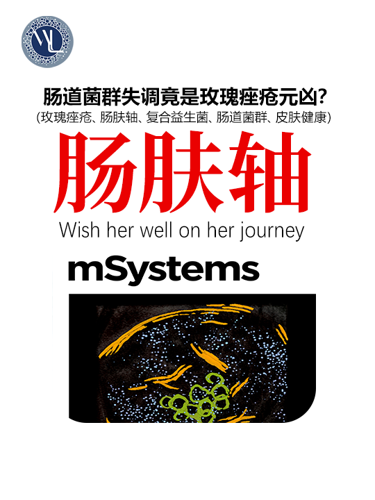 肠肤轴.png