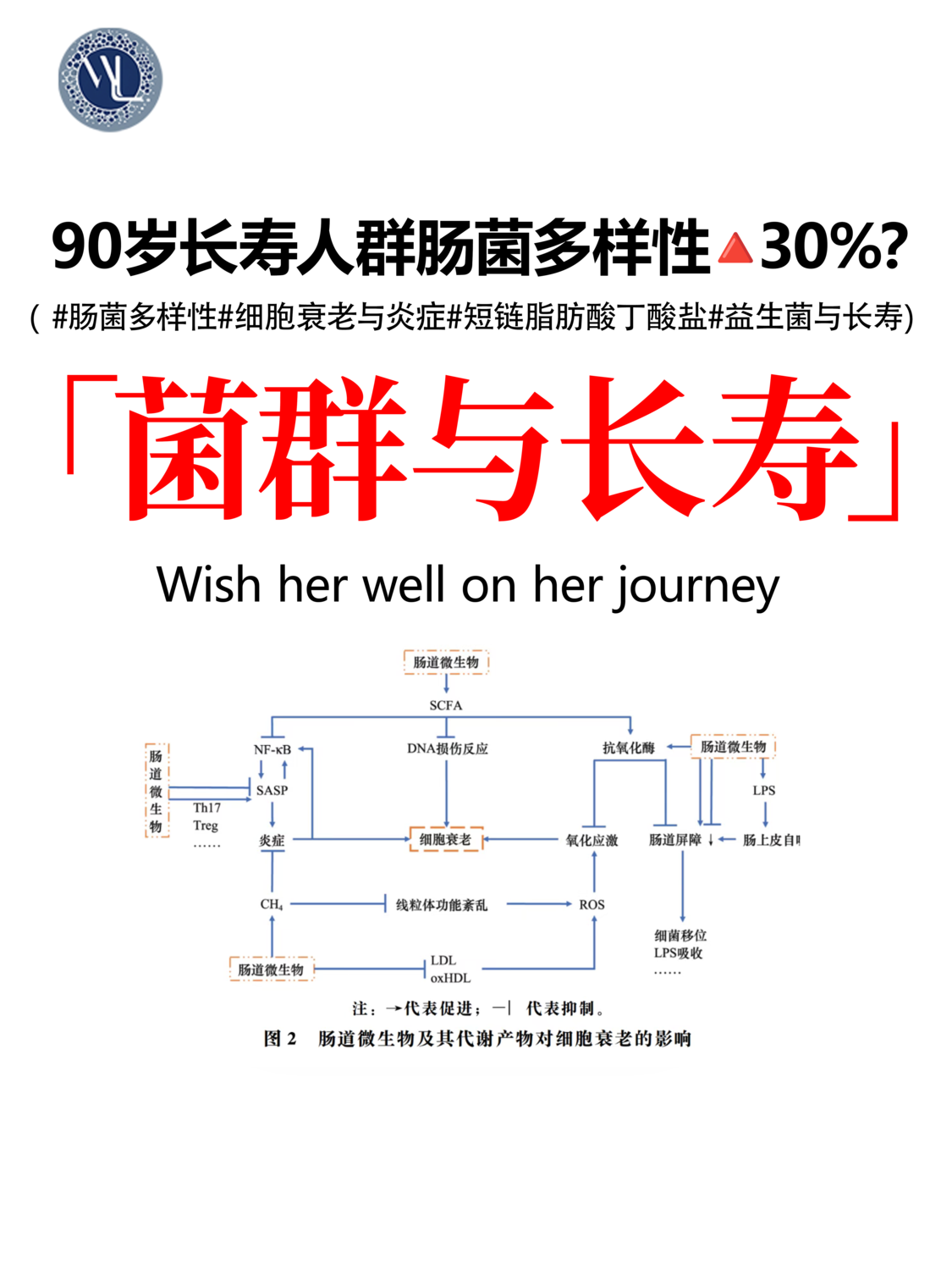 菌群与长寿.png